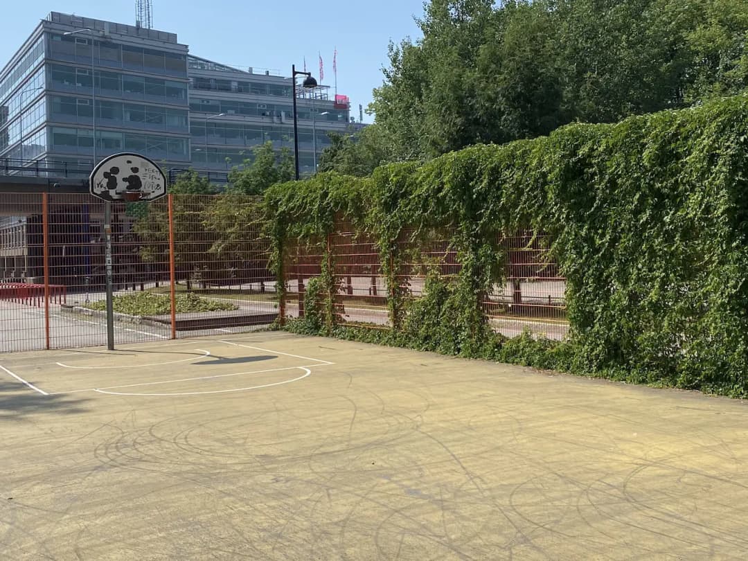 Second image of a court