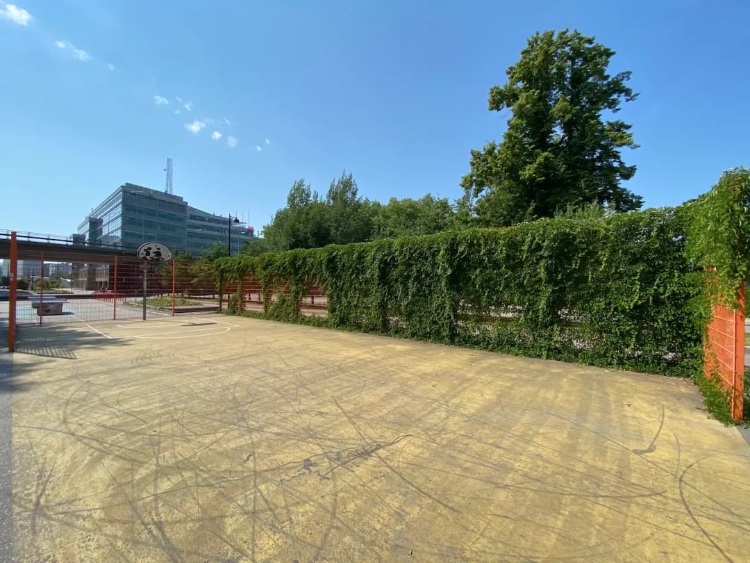 Cover image of a court