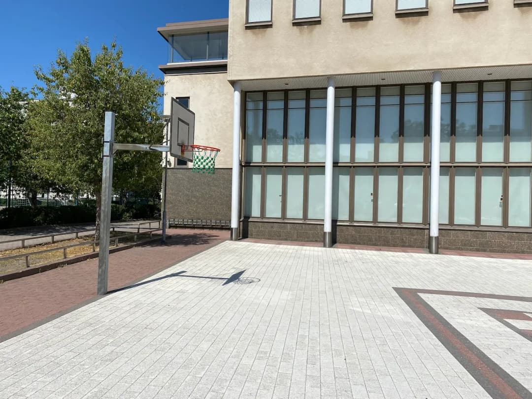 Cover image of a court