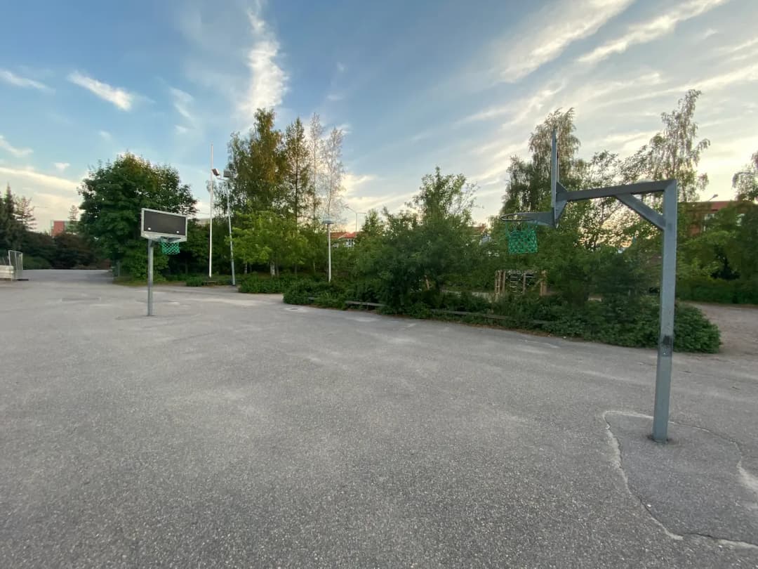 Cover image of a court